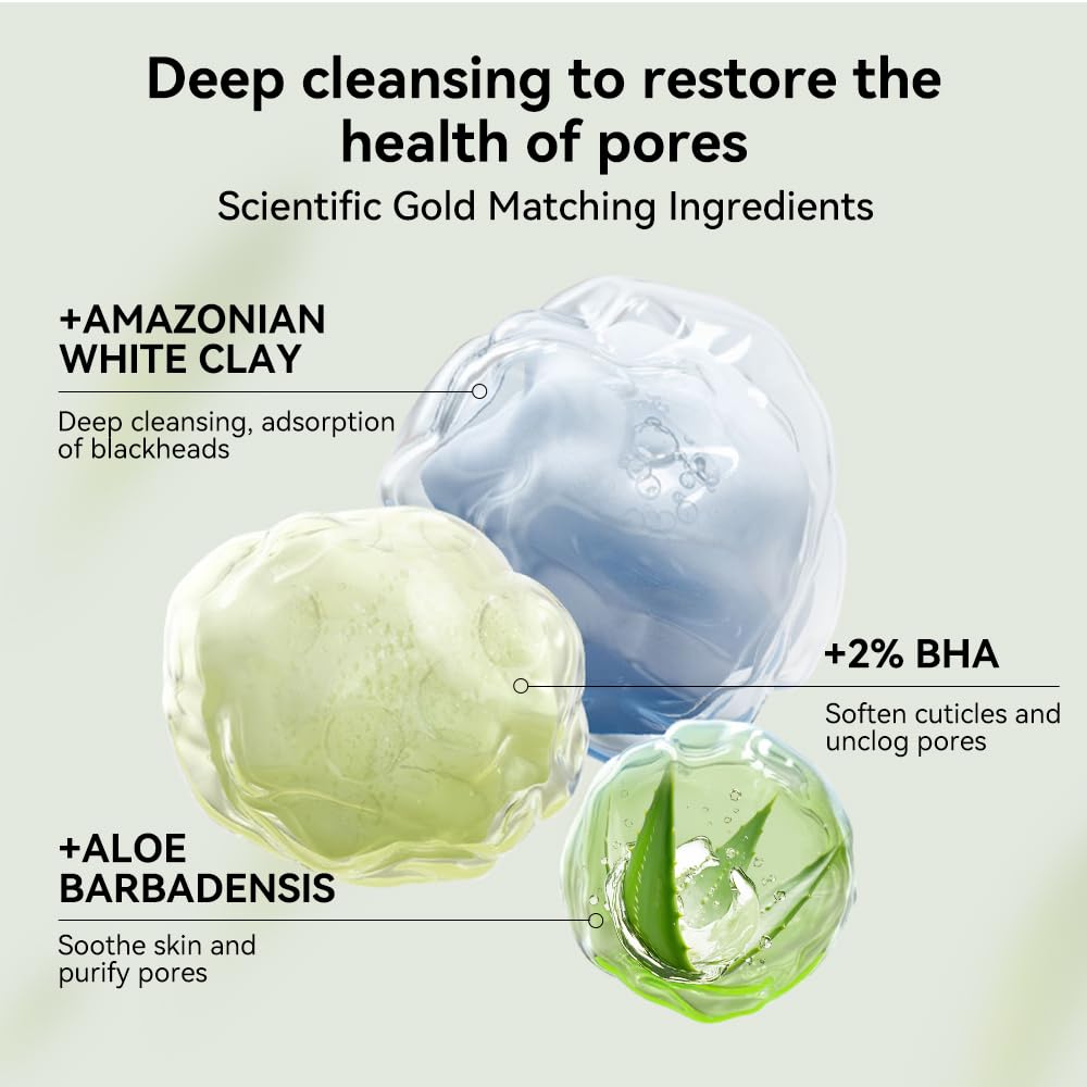 LANBENA Blackhead Mask